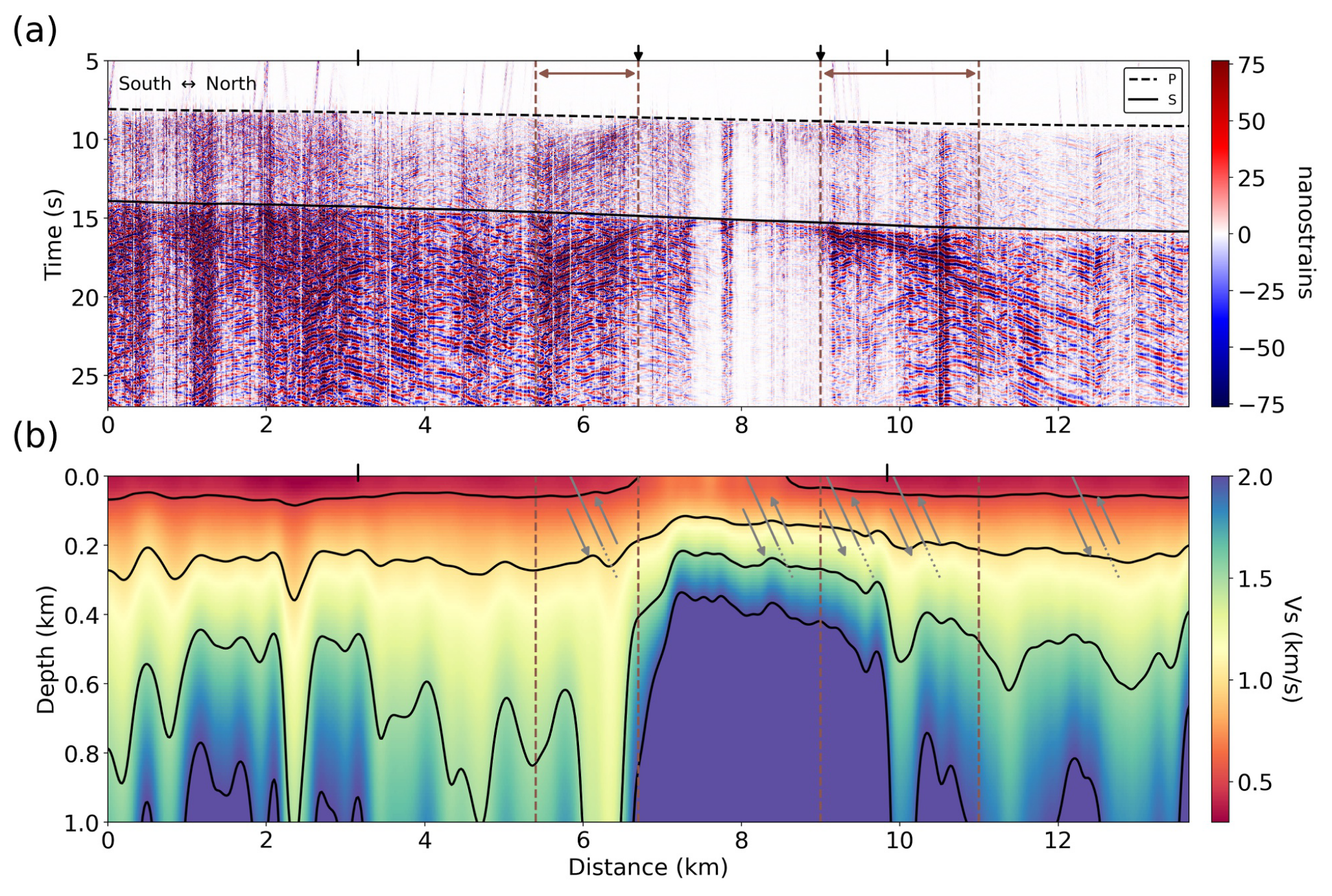 Summary_Figure_Science.png